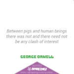 Amazing Pig Quotes - Clash