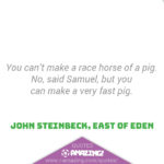 Amazing Pig Quotes - Fast