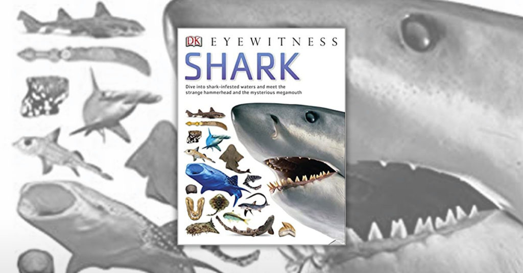 Books About Sharks - Eyewitness Shark