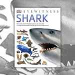 Books About Sharks - Eyewitness Shark