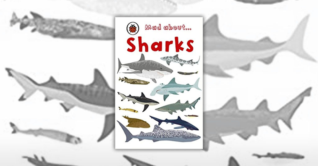 Books About Sharks - Mad About Sharks