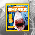 Books About Sharks - NAT GEO EVERYTHING SHARKS