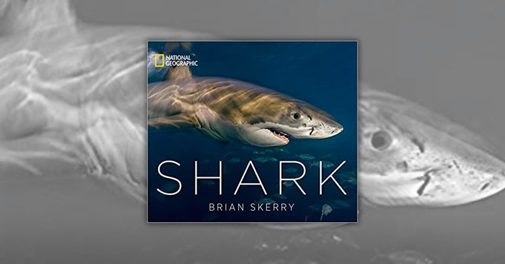 Books About Sharks - NAT GEO - SHARK