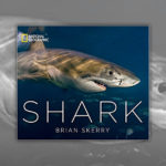 Books About Sharks - NAT GEO - SHARK