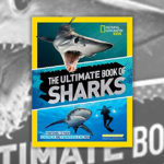 Books About Sharks - NAT GEO THE ULTIMATE BOOK OF SHARKS