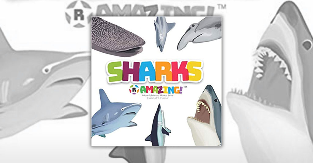 Books About Sharks - Sharks R Amazing