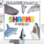 Books About Sharks - Sharks R Amazing