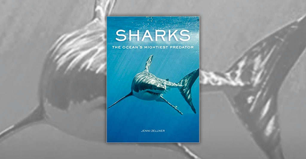 Books About Sharks - The Ocean's Mightiest Predator