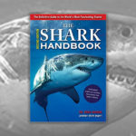 Books About Sharks - The Shark Handbook