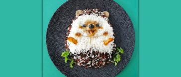 Food Art Animals Hedgehog