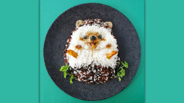 Food Art Animals Hedgehog