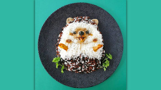 Food Art Animals Hedgehog