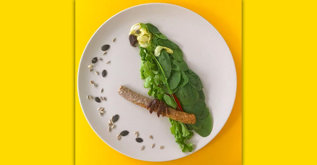 Food Art Animals - Parrot