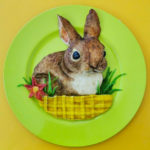 Food Art Animals - Baby Rabbit