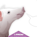 Amazing Pig Quotes
