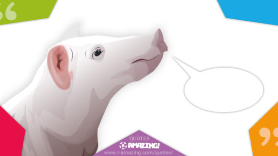 Amazing Pig Quotes