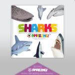 Sharks R Amazing! Book