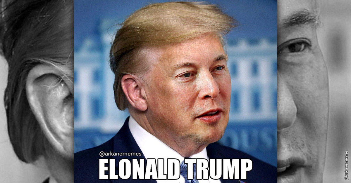 Celebrity Mashups - Elonald Trump