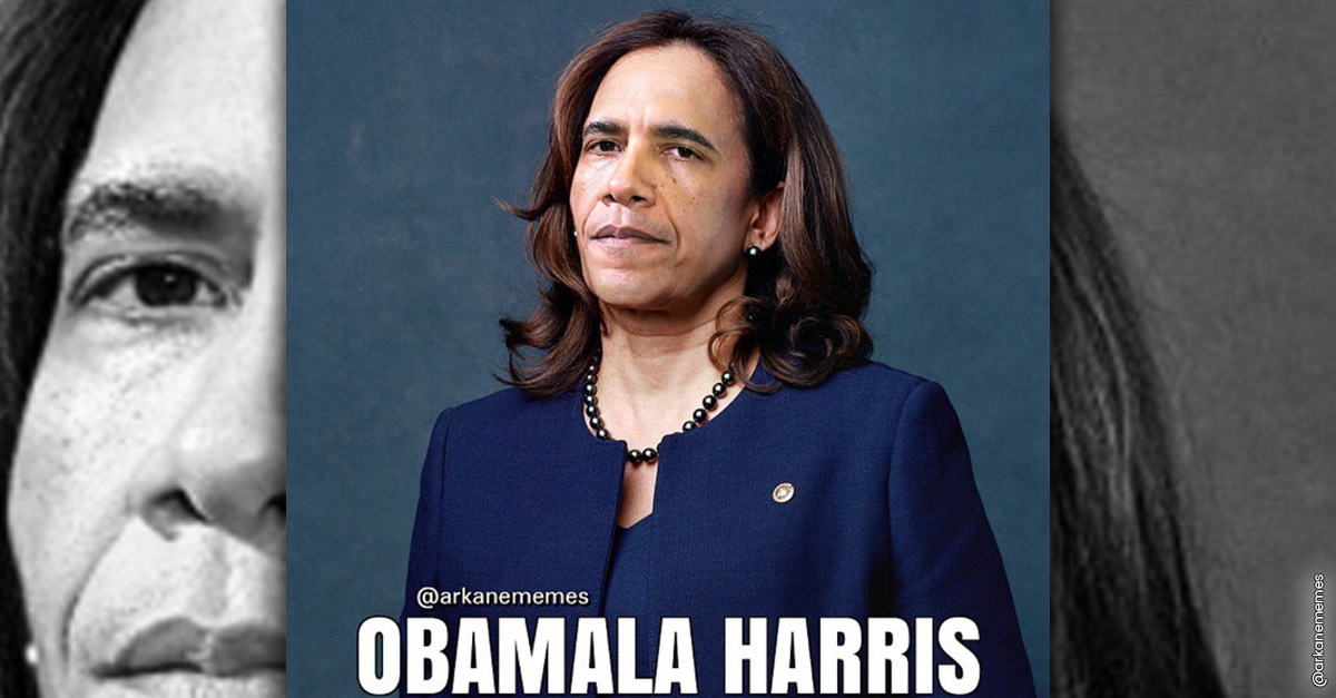 Celebrity Mashups - Obamala Harris