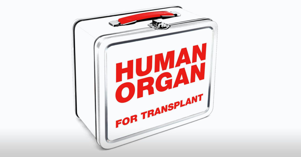 Amazing Lunch Boxes - Human Organ Transplant Lunch Box