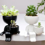 Sitting on the edge Plant Pot