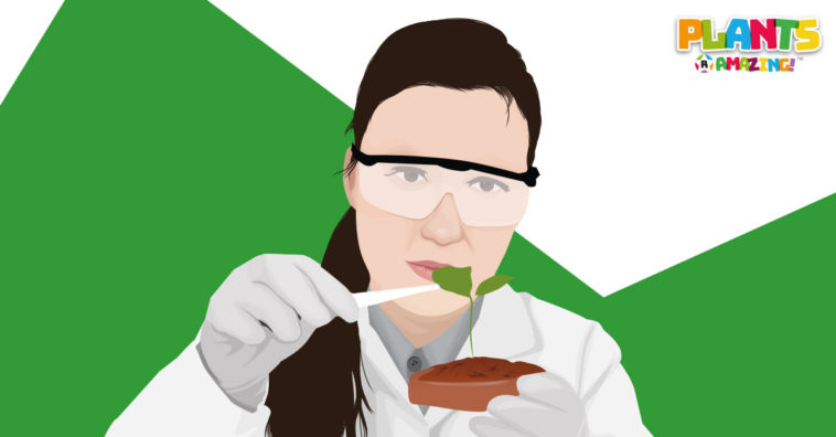 Plants R Amazing - Neurobiology