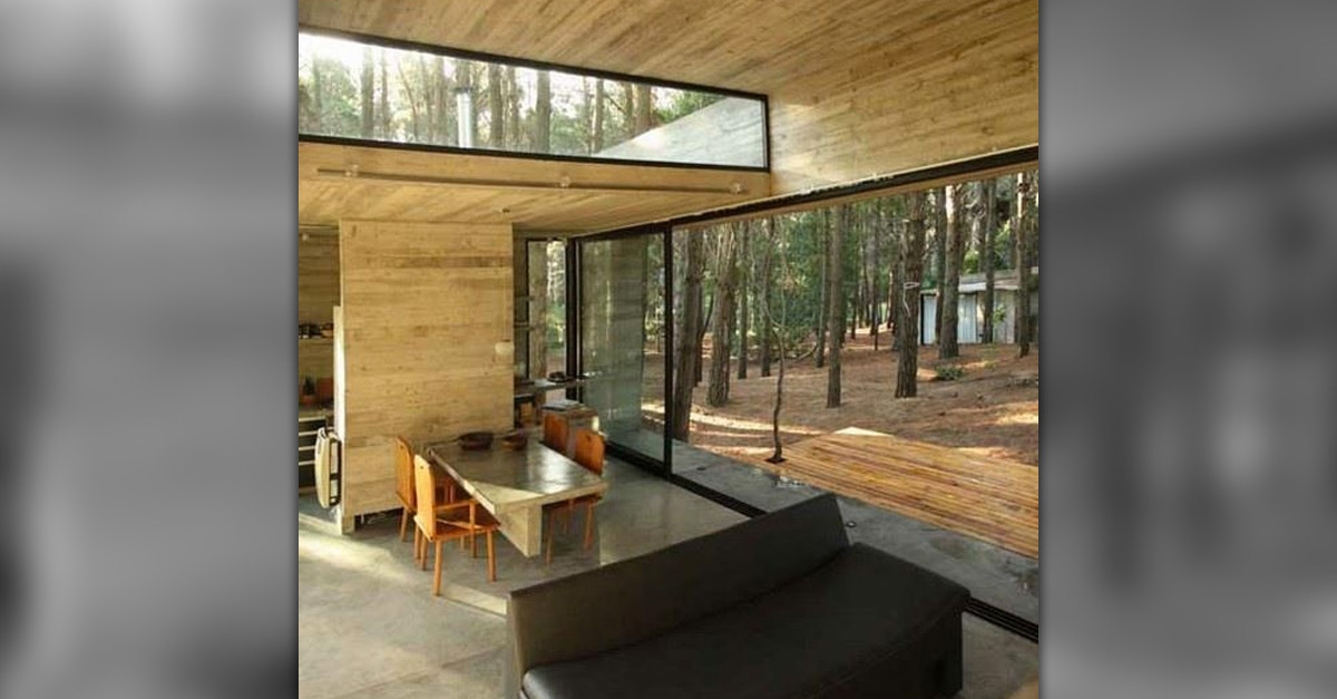 Amazing Windows - Large Forest Window