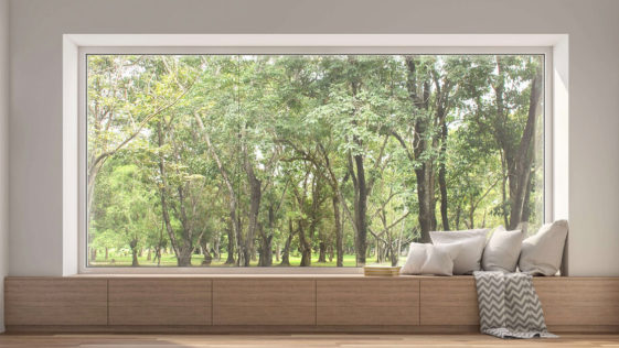 Amazing Windows - Picture Frame