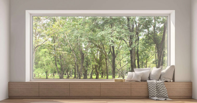 Amazing Windows - Picture Frame