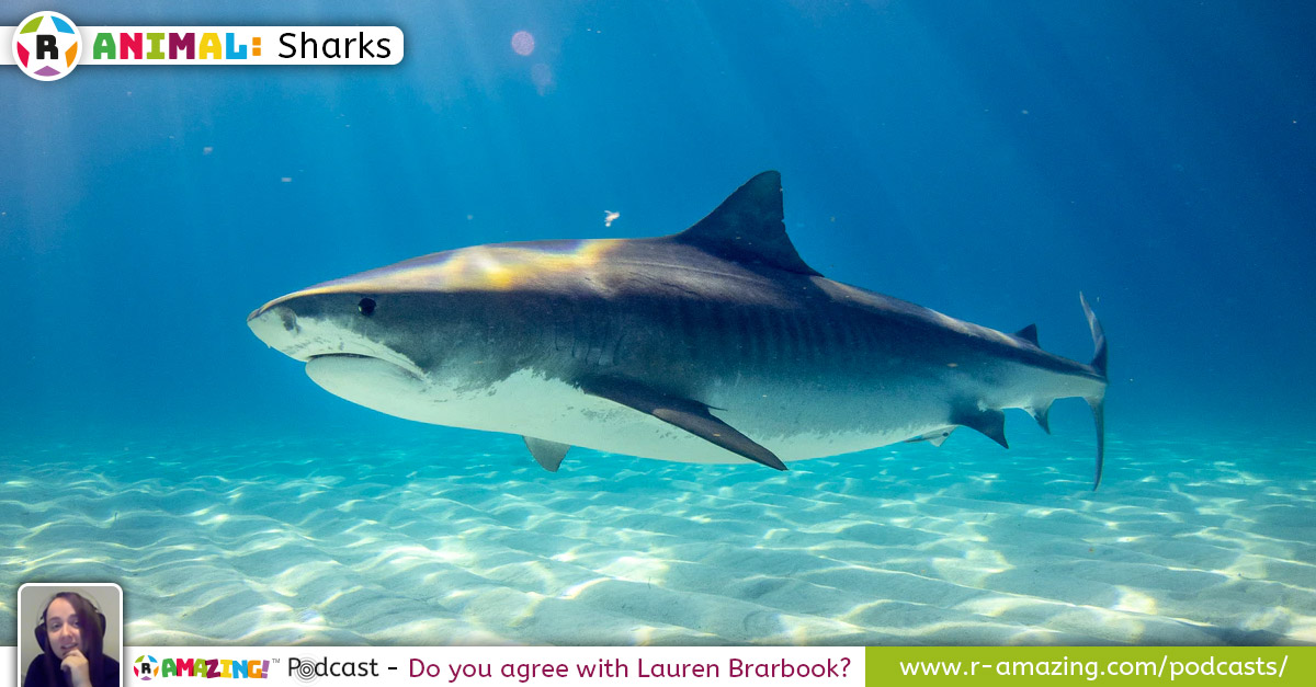 Lauren's Most Amazing Animal!