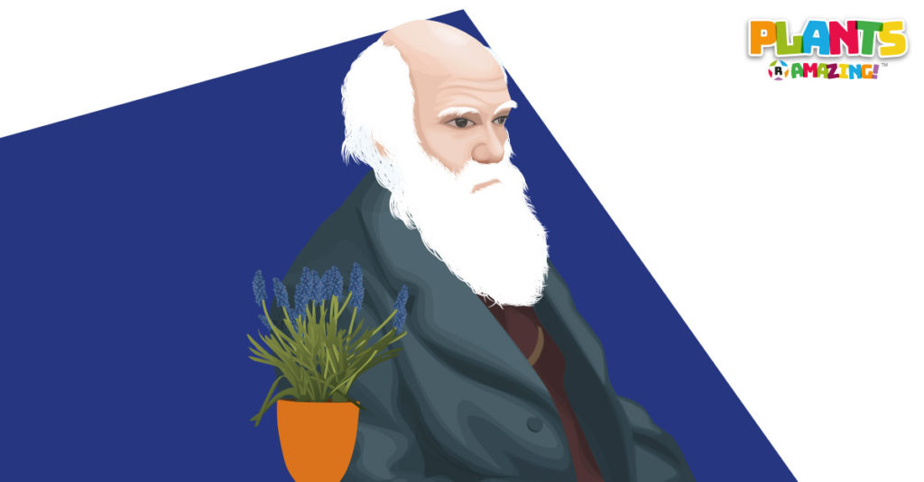 Plants R Amazing - Darwin