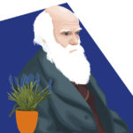 Plants R Amazing - Darwin