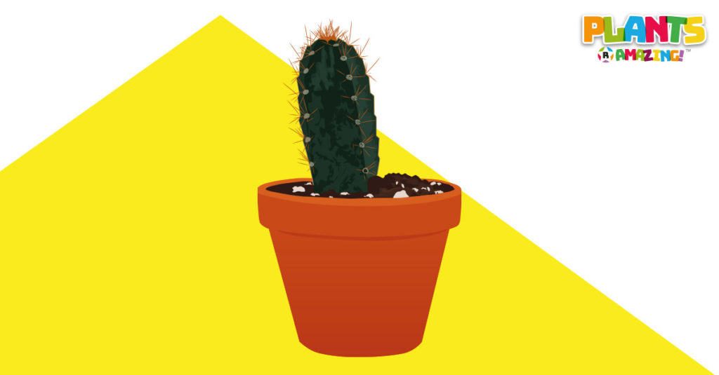 Plants R Amazing - Defending