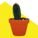 Plants R Amazing - Defending