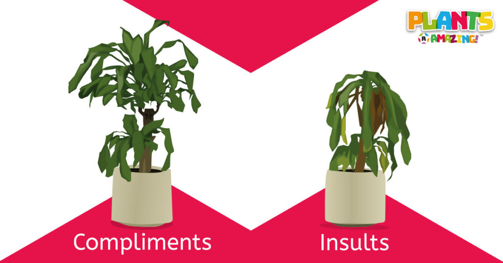 Plants R Amazing - Feelings