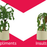 Plants R Amazing - Feelings