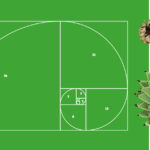 Plants R Amazing - Golden Ratio