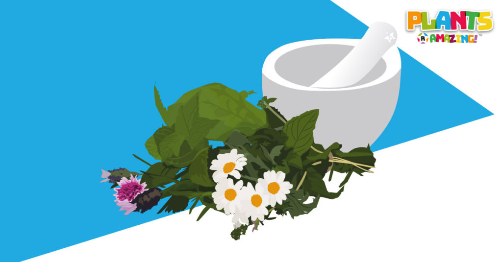 Plants R Amazing - Healing