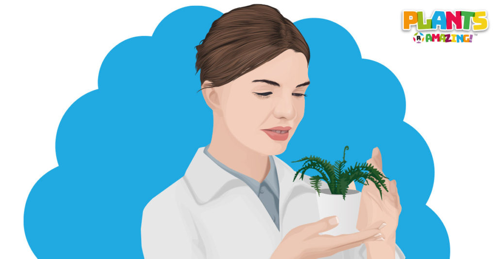 Plants R Amazing - Memory