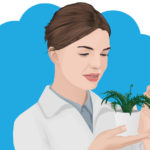 Plants R Amazing - Memory