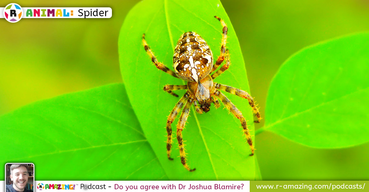 Dr Joshua Blamire - Amazing Animal!