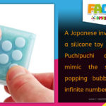 R Amazing! Facts - Bubble Wrap Toy
