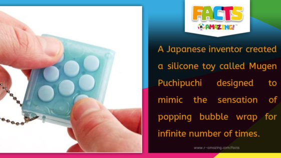 R Amazing! Facts - Bubble Wrap Toy