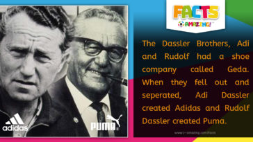 R Amazing Facts - Dassler Brothers