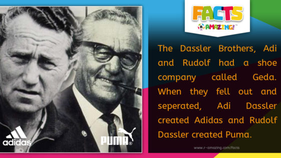 R Amazing Facts - Dassler Brothers