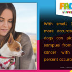 R Amazing! Facts - Dogs Smell Cancer
