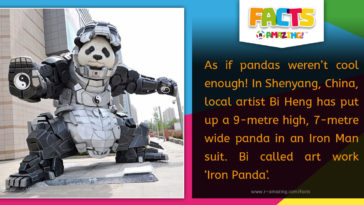 R Amazing! Facts - Iron Panda