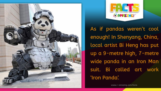 R Amazing! Facts - Iron Panda