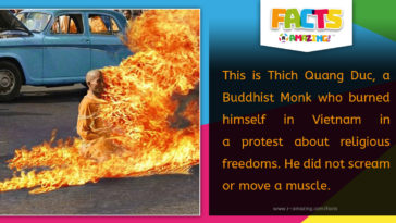 R Amazing! Facts - Buddhist Monk Thich Quang Duc