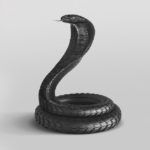 Mixing Concepts - Cobra and Tyre